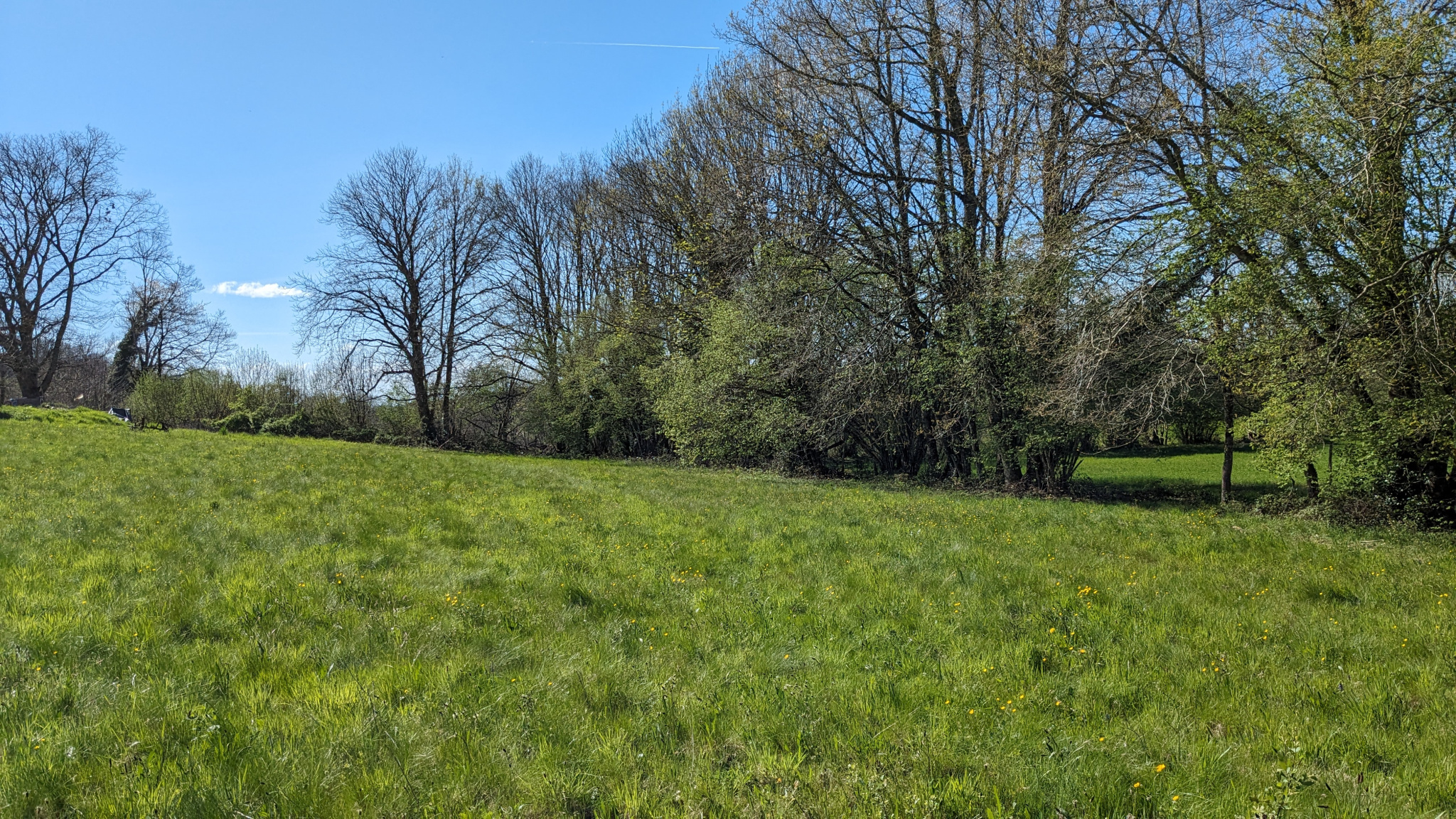 Photo bien immobilier